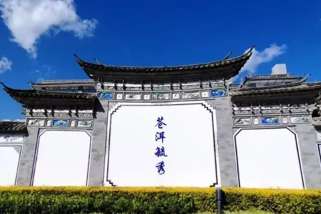 编辑：杨源
