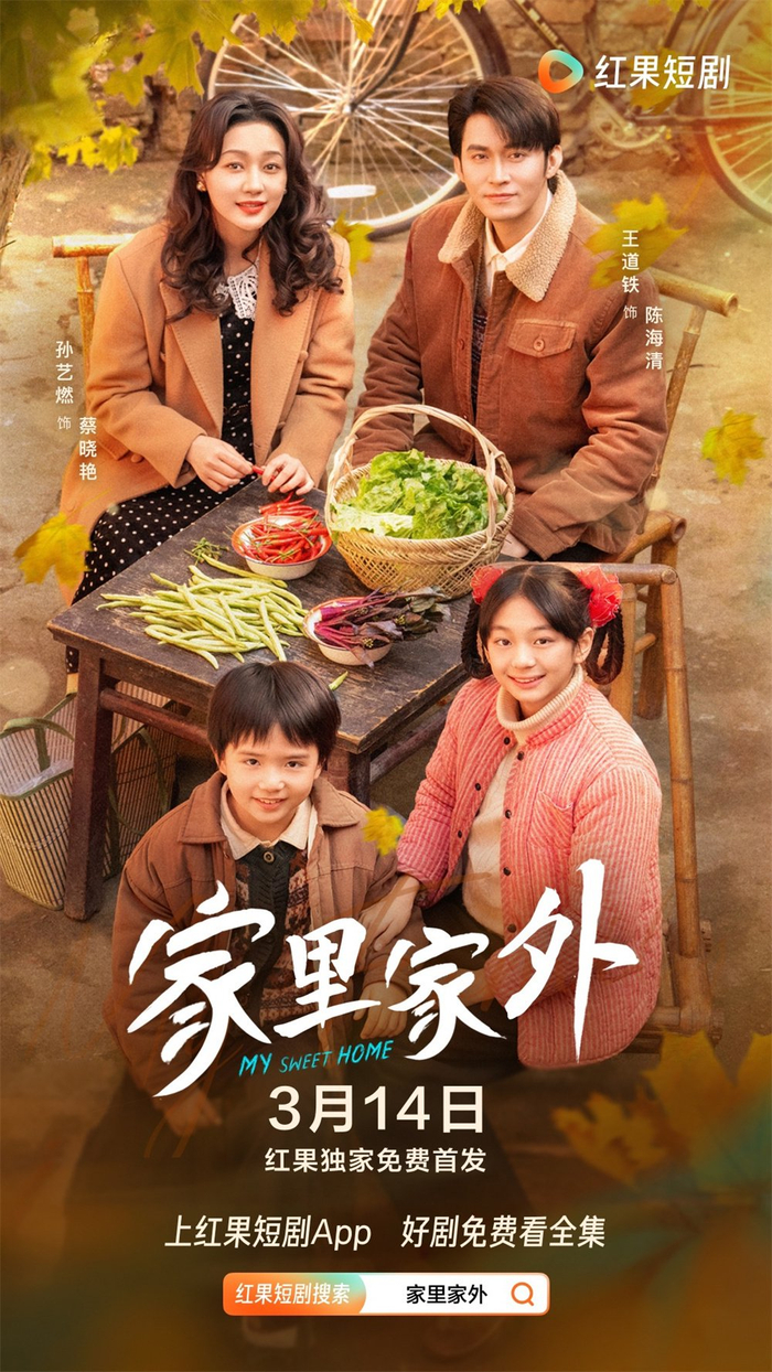 《家里家外》海报