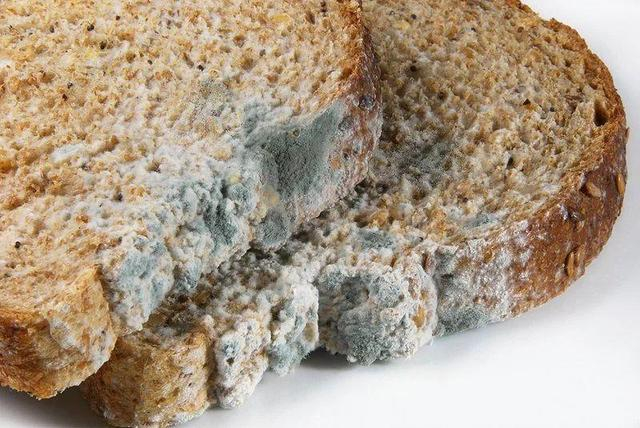 △发霉的面包