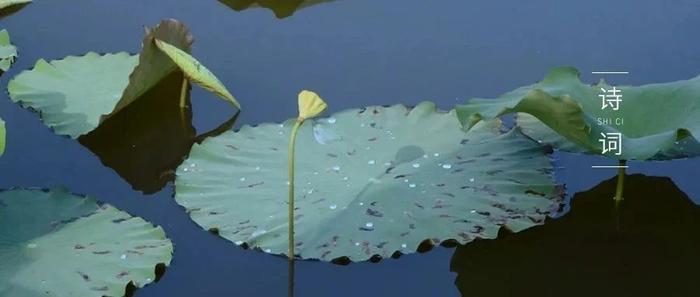 永远不要提前焦虑