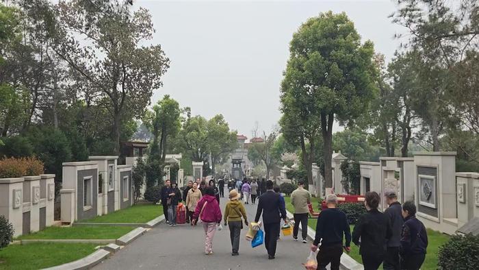 清明追思|不识字的她供出六个大学生，孙辈中还有博士