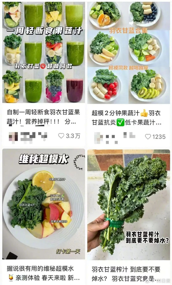 ▲社交平台上羽衣甘蓝汁帖子。图/广州日报