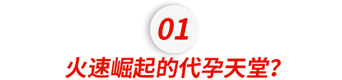 厦门代孕_格鲁吉亚代孕_神州代孕