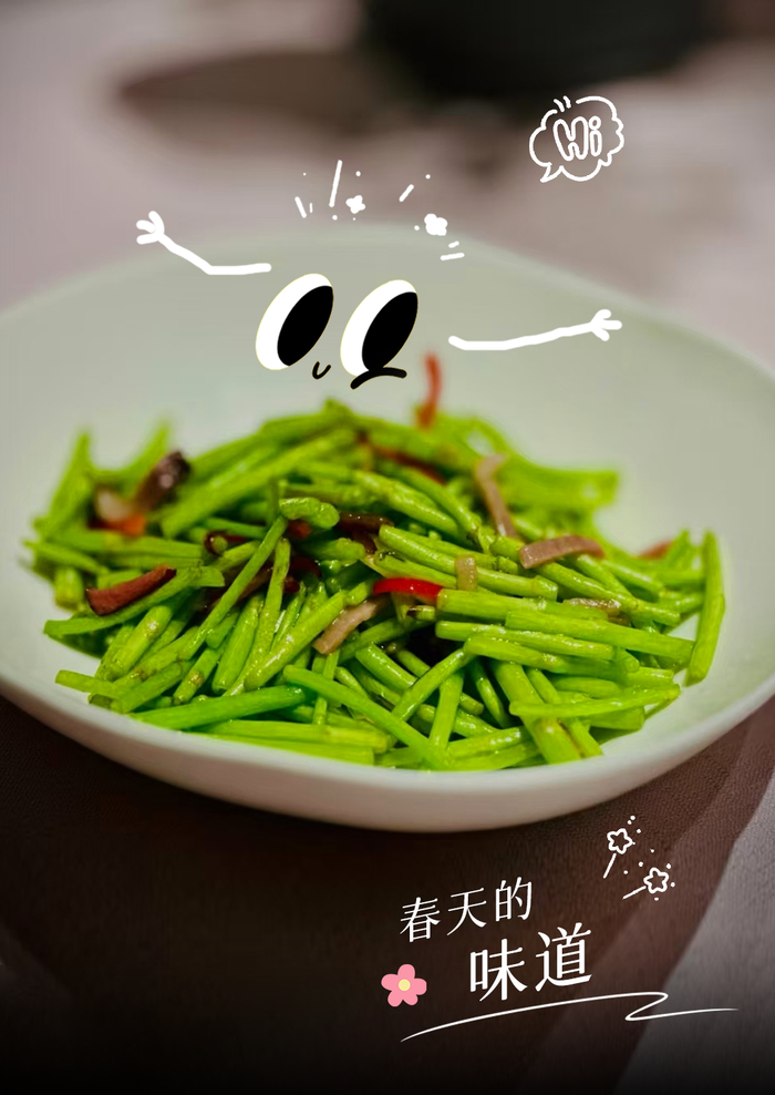 羽翼光环的快乐/摄