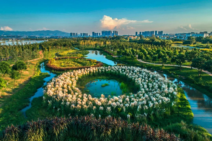 甸溪河湿地公园。李荣 摄