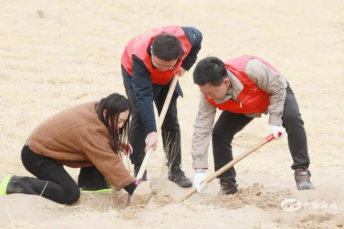 图源：民勤发布