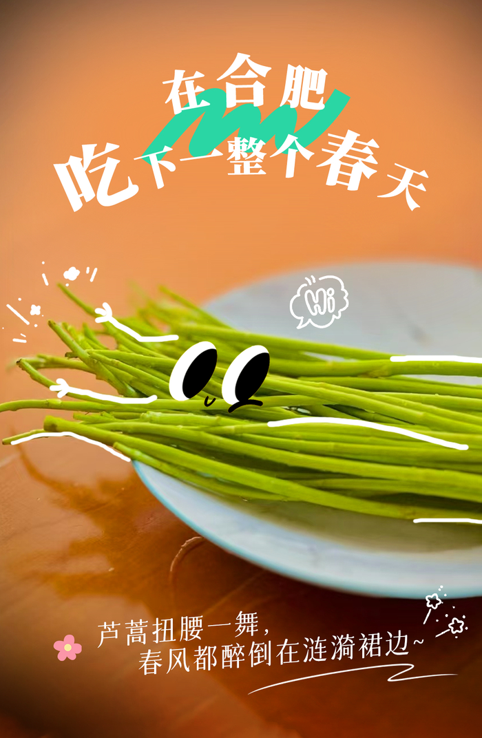 羽翼光环的快乐/摄