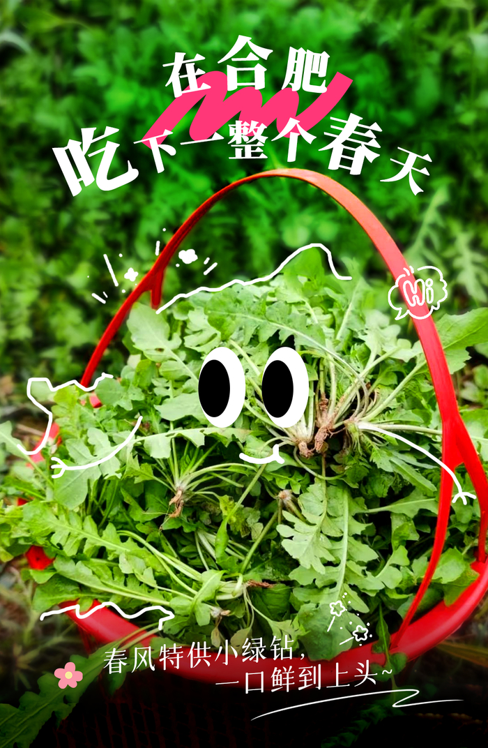 采蘑菇的养花人/摄