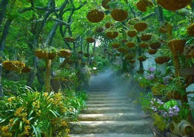 六郎城·仙草秘境景区。广南县委宣传部 供图