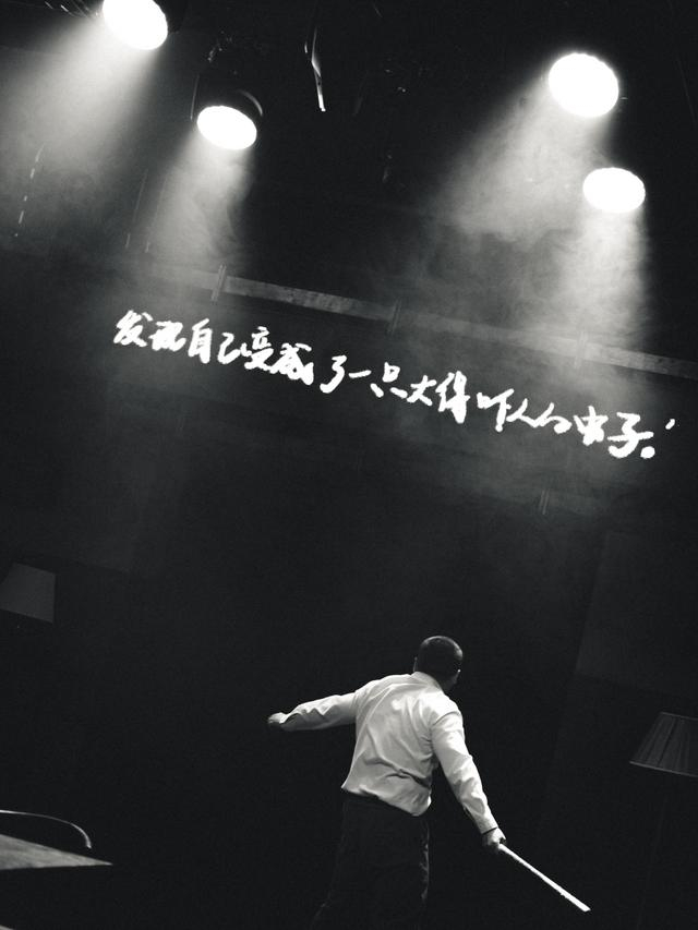 上话版舞台剧《变形记》剧照