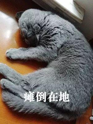 孕妇坐网约车去产检，途中遭遇车祸导致流产，谁该为这场悲剧负责？
