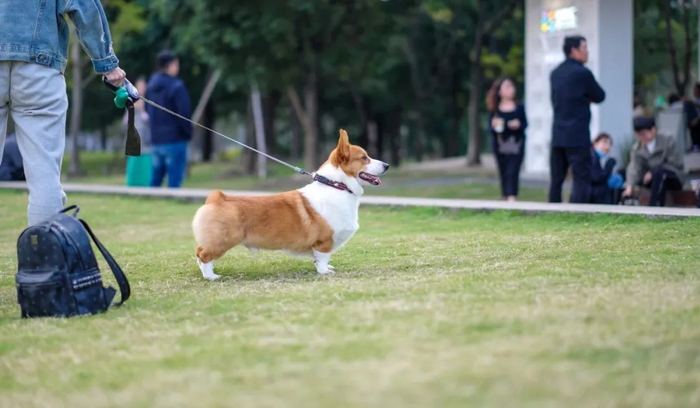  人与动物和谐共处。（图/图虫创意）