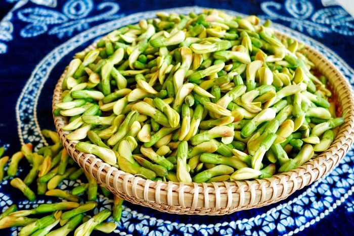 △正当季的金雀花。图片来源：央视网