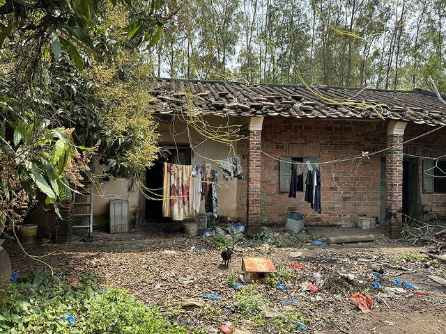 温从文家是二伯家的旧瓦房，部分墙体已经开裂坍塌。澎湃新闻记者 陈绪厚 图