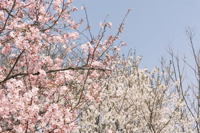 （图片来源：艾媒网摄于江苏无锡）