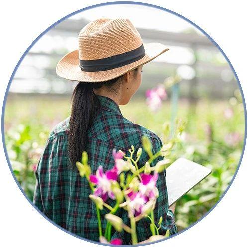 不婚女性的集体噩梦：我的财产被亲戚盯上