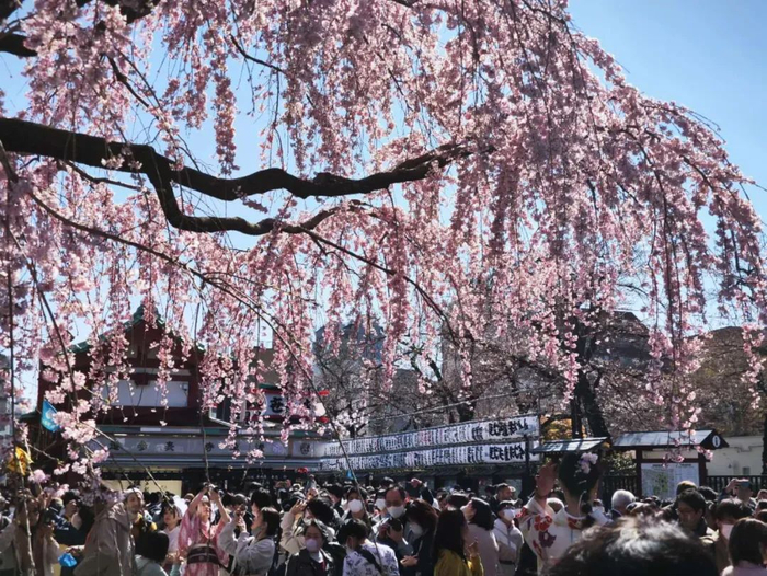 （图片来源：艾媒网摄于日本东京）