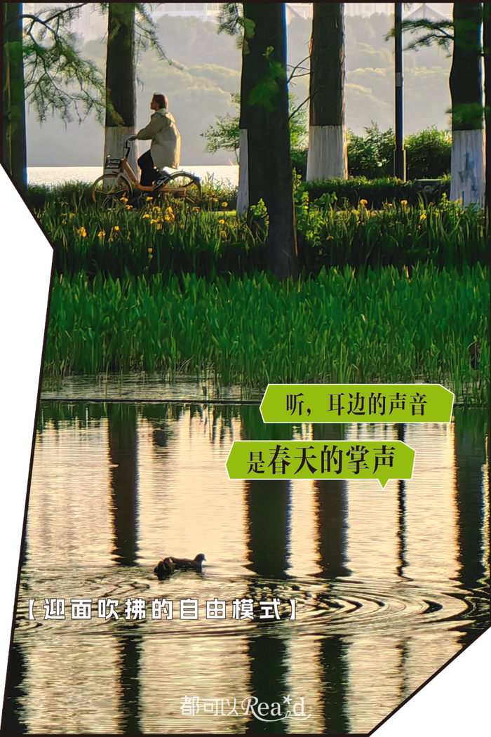 【城市摄影队 黎黎 摄于东湖绿道】