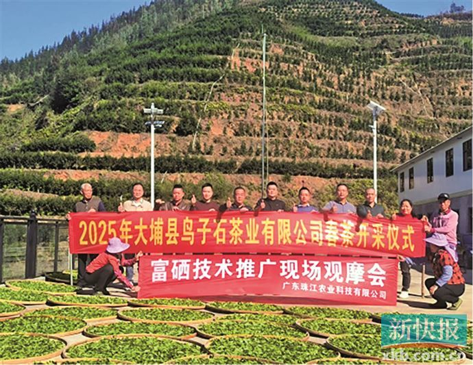 达瑞电子拟并购维斯德80%股权 谋求资源互补双向赋能