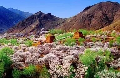 处处是风景、时时有风情!2025年大同乡村旅游精品线路出炉~