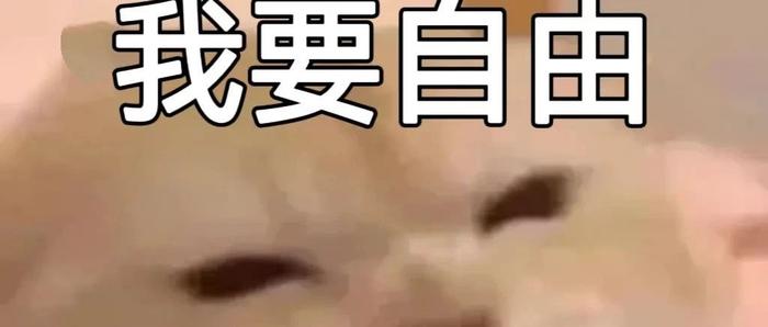我妈坚决反对婚前性行为，要听她的吗？
