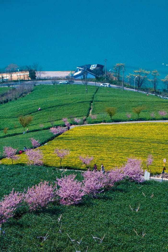 宁波发布特约摄影师 徐丹/摄