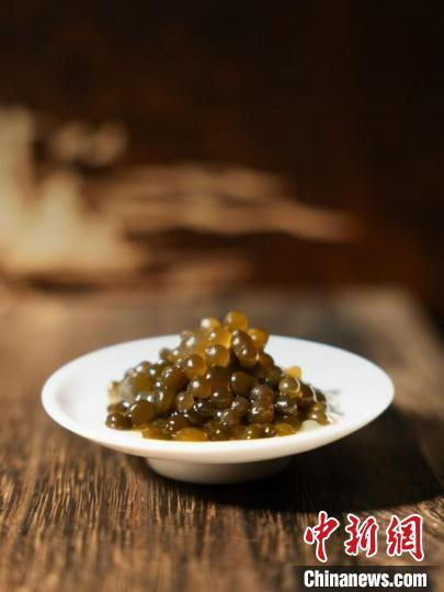 泡发后的葛仙米圆润饱满。董晶菁 摄