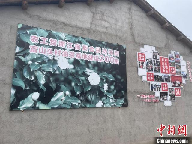 农工党浙江省委会帮扶建设的油茶种植基地。张煜欢 摄