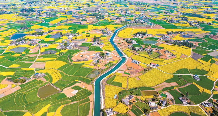     今年，都江堰灌区8市41县（市、区）灌溉面积将达1165万亩。
