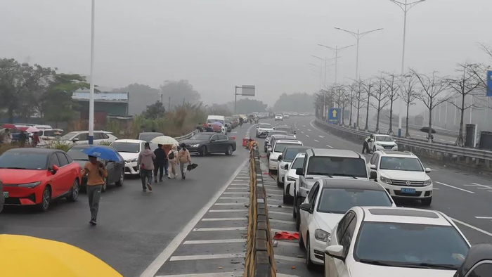 图源：佛山市新闻传媒中心