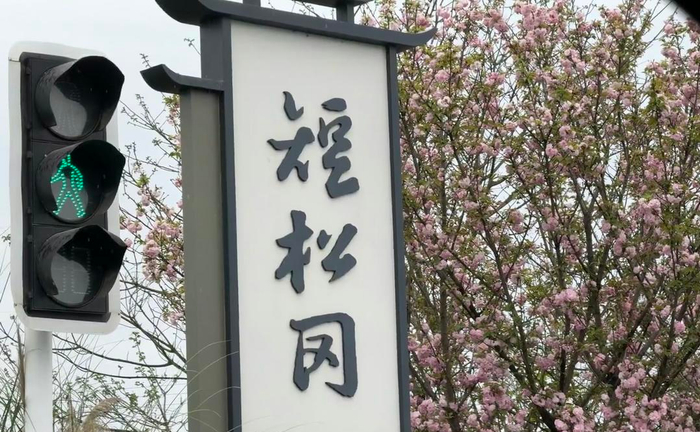 清明时节的“短松冈” 图据受访者蔡景晖