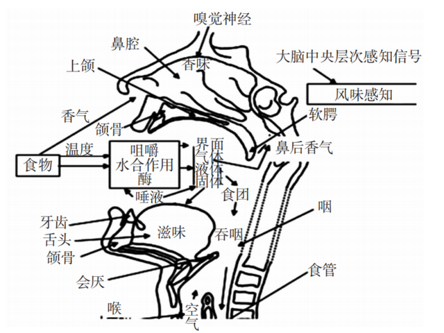 图源：参考资料5