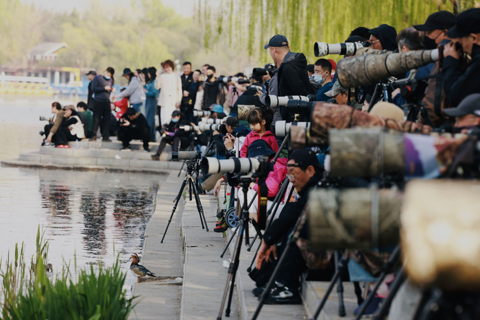 新京报记者 郭延冰 摄