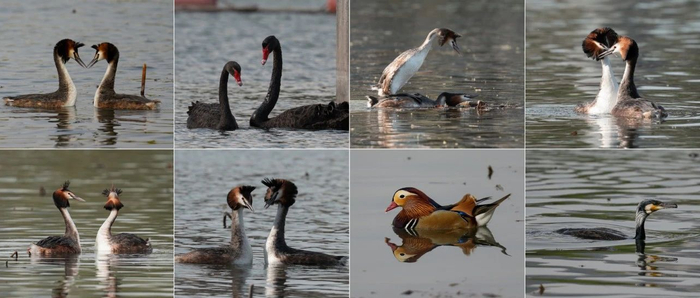 图片来自李现个人微博