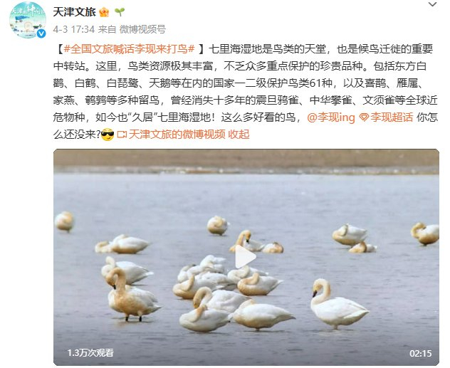 图片来自@天津文旅