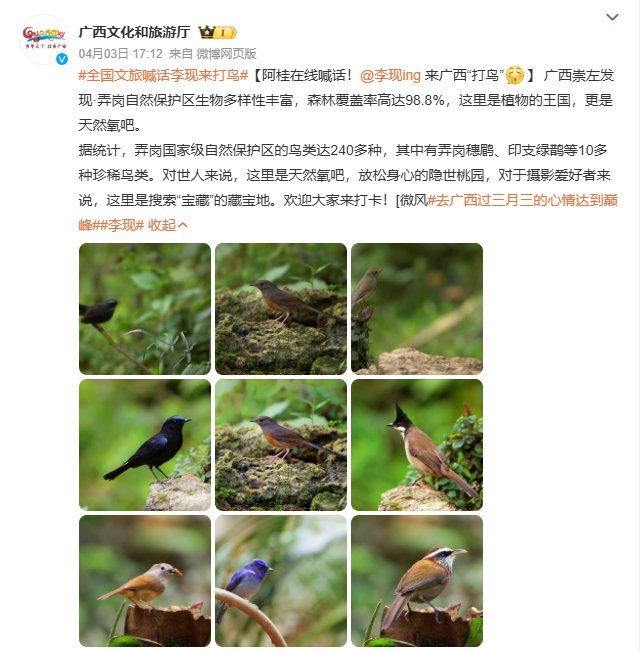 图片来自@广西文化和旅游厅