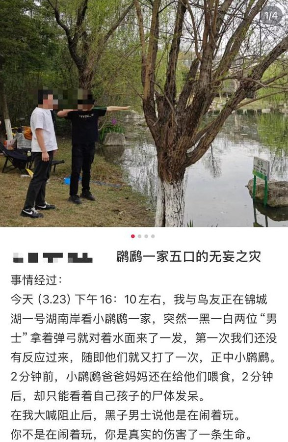 图片来自某社交平台截图