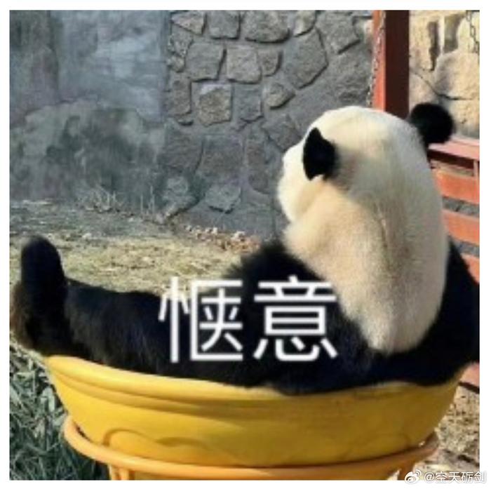 懂得追求舒适才是明智的生活态度，让自己处于舒适的一种状态里…