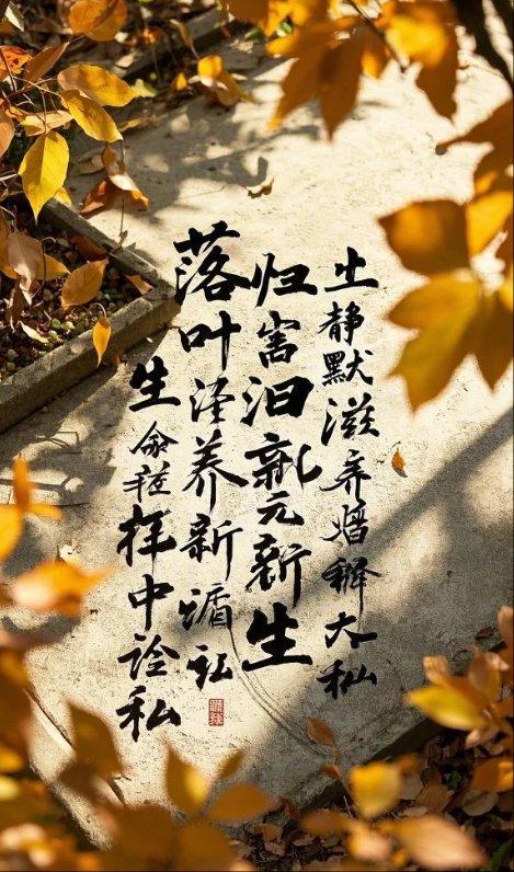 人生这场马拉松，梦想是远方闪耀的终点