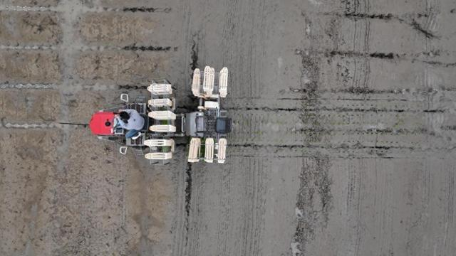 3月31日，工作人员在福建省南安市驾驶“水稻有序抛秧机”抛秧（无人机照片）。新华社记者 周义 摄