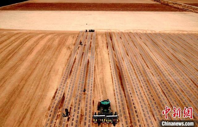 搭载北斗导航系统的智能化播种机在广袤田野间行进。王保宏 摄