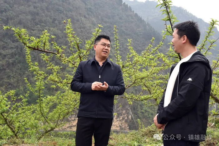 杨绪春到罗坎镇开展蹲点调研工作!__财经头条__新浪财经
