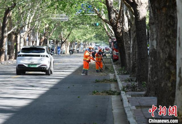 4月12日，河北石家庄，环卫工人在清理被大风吹落的树叶和树枝。中新网记者 翟羽佳 摄