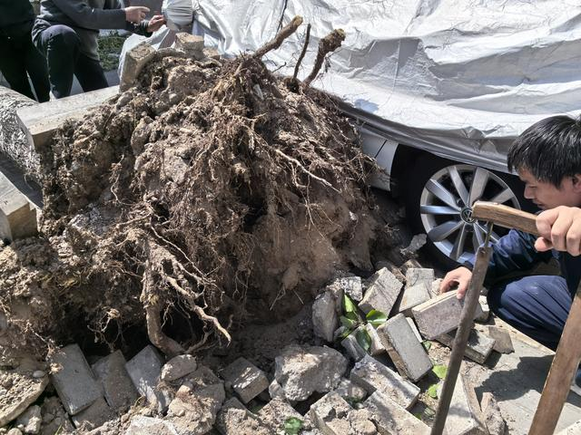 来源：北京日报客户端