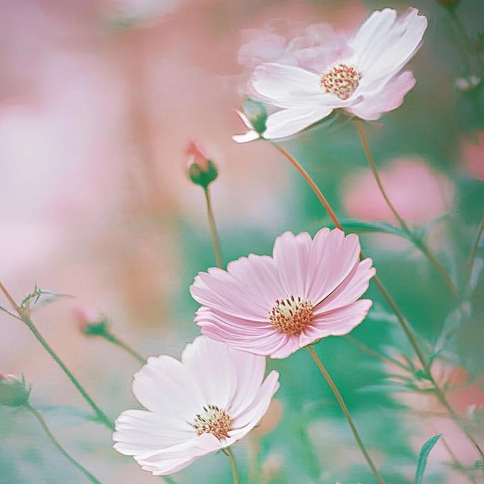 赏读 | 人生百味，随意就好
