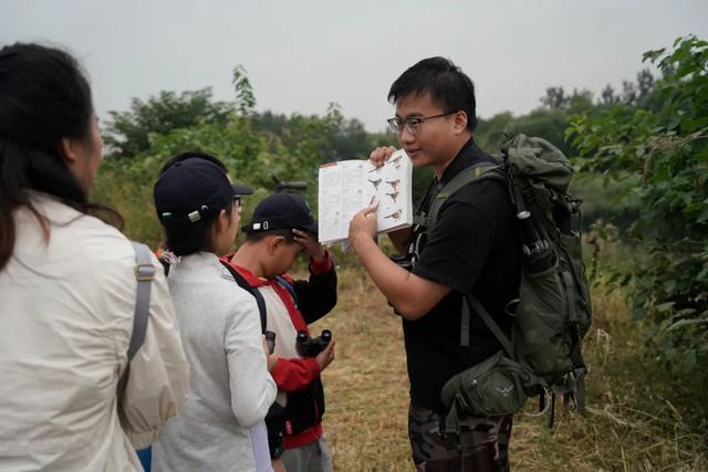 护鸟牌怎么写北京拍鸟人“扫地僧”:我拍到的鸟被列为北京新记录鸟种_新闻资讯_第7张_活检穿刺产品网 护鸟牌怎么写北京拍鸟人“扫地僧”:我拍到的鸟被列为北京新记录鸟种_https://www.jmylbn.com_新闻资讯_第7张