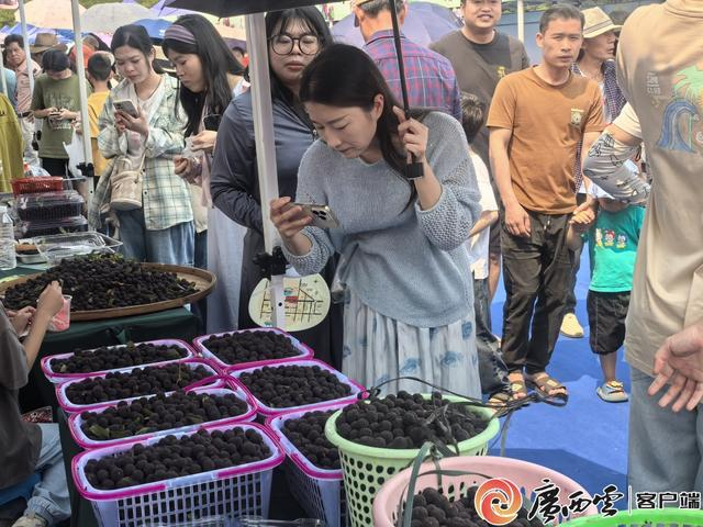 游客正在选购新鲜杨梅。蒋璐阳 摄