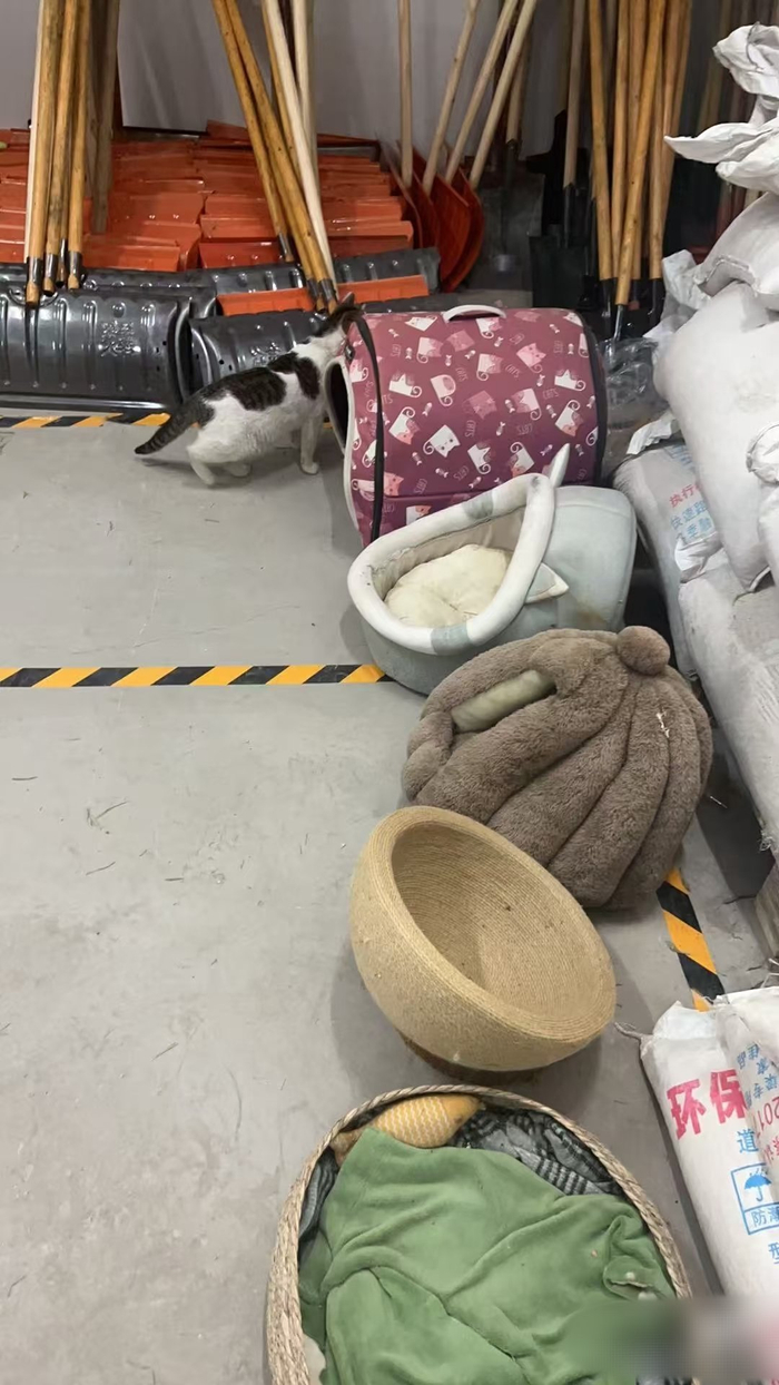 被转移到物业仓库的猫窝。 受访者供图