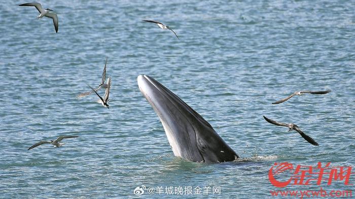 脚踏实地，去创造你想要的未来