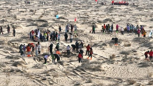 来自全国各地的志愿者参加“请到民勤种棵树”活动。团民勤县委供图